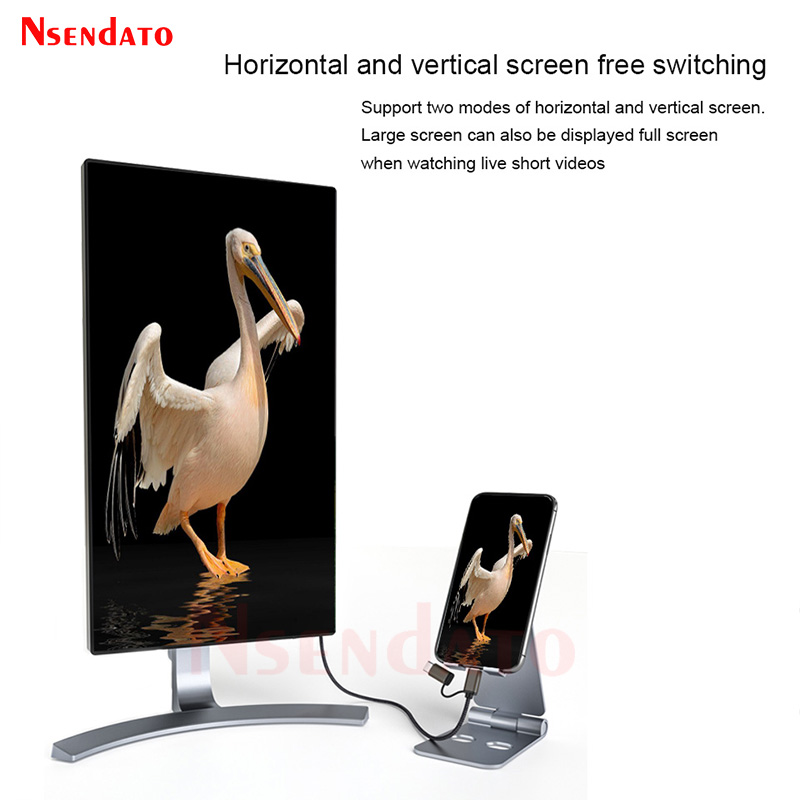 Mirascreen LD39 Bedrade 1080P  - Hdmi Adapter Tablet recensie en prijs